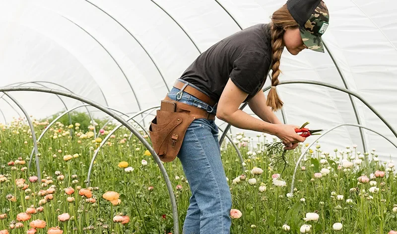 There are many variations of passages of Lorem Ipsum available, but majority have suffered teration in some form, by injected humour, or randomised words which don't look even slight believable. If you are going to use a passage of Lorem Ipsum.